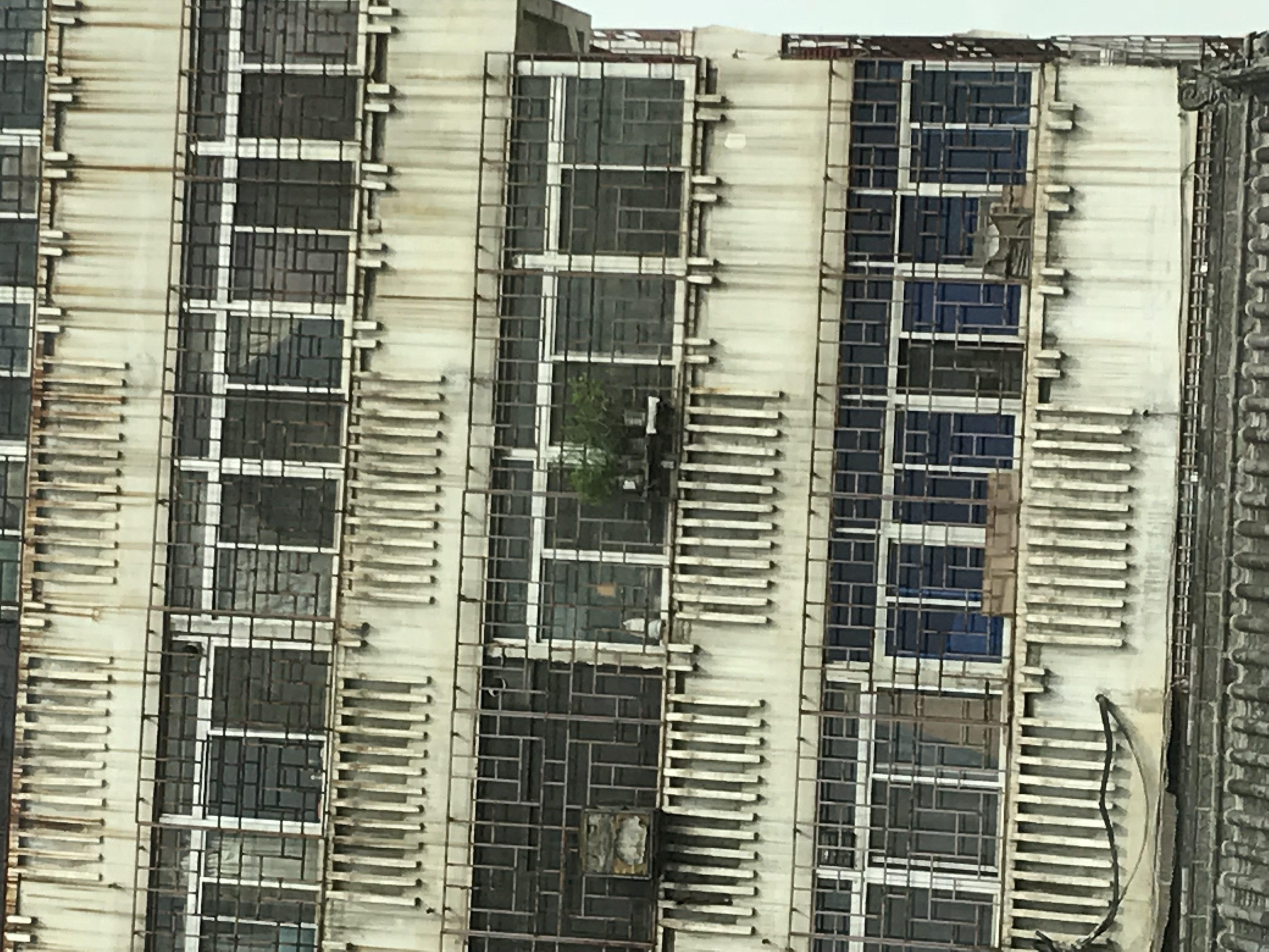 ./2018/03 - Viking China/11 - Xian/IMG_6479.JPG